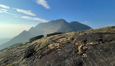 Kulathupuzha Tribal Forest Stay